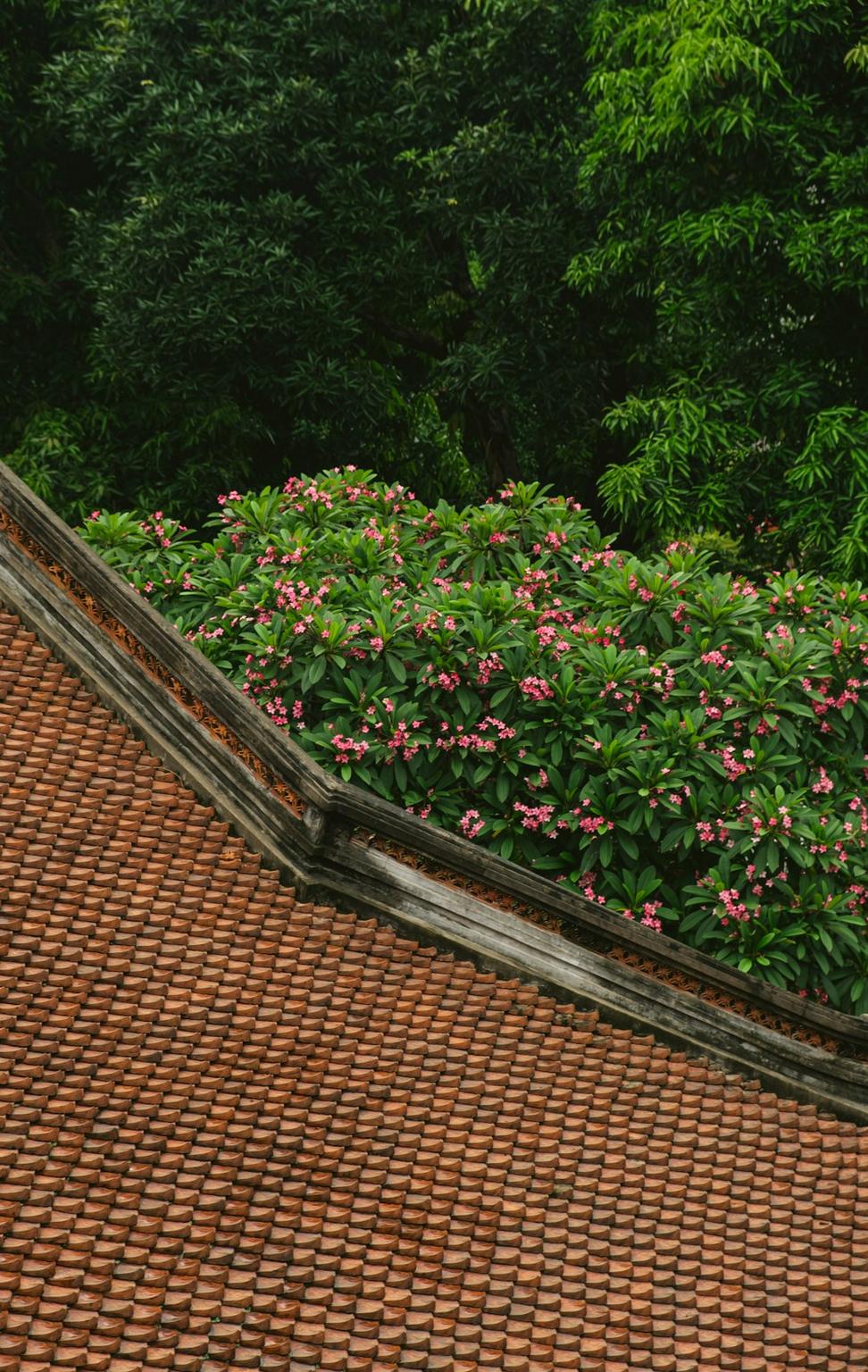 Green Roof