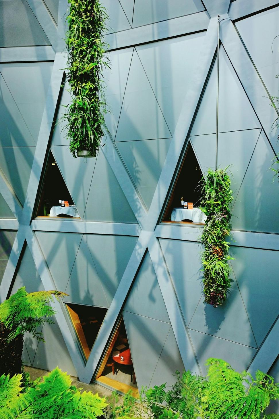 Green roof