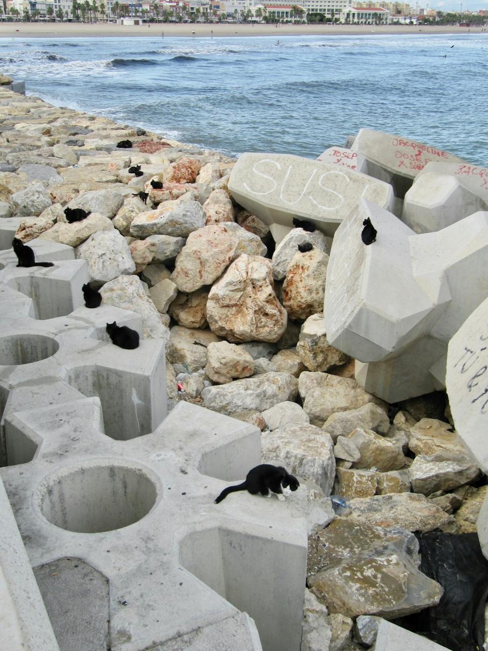 Recycled Materials