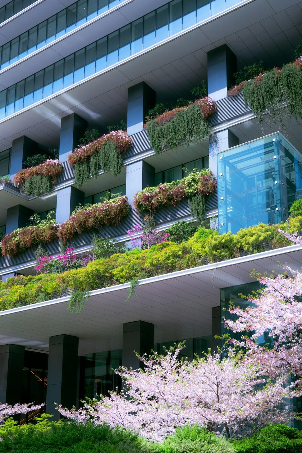 Commercial project