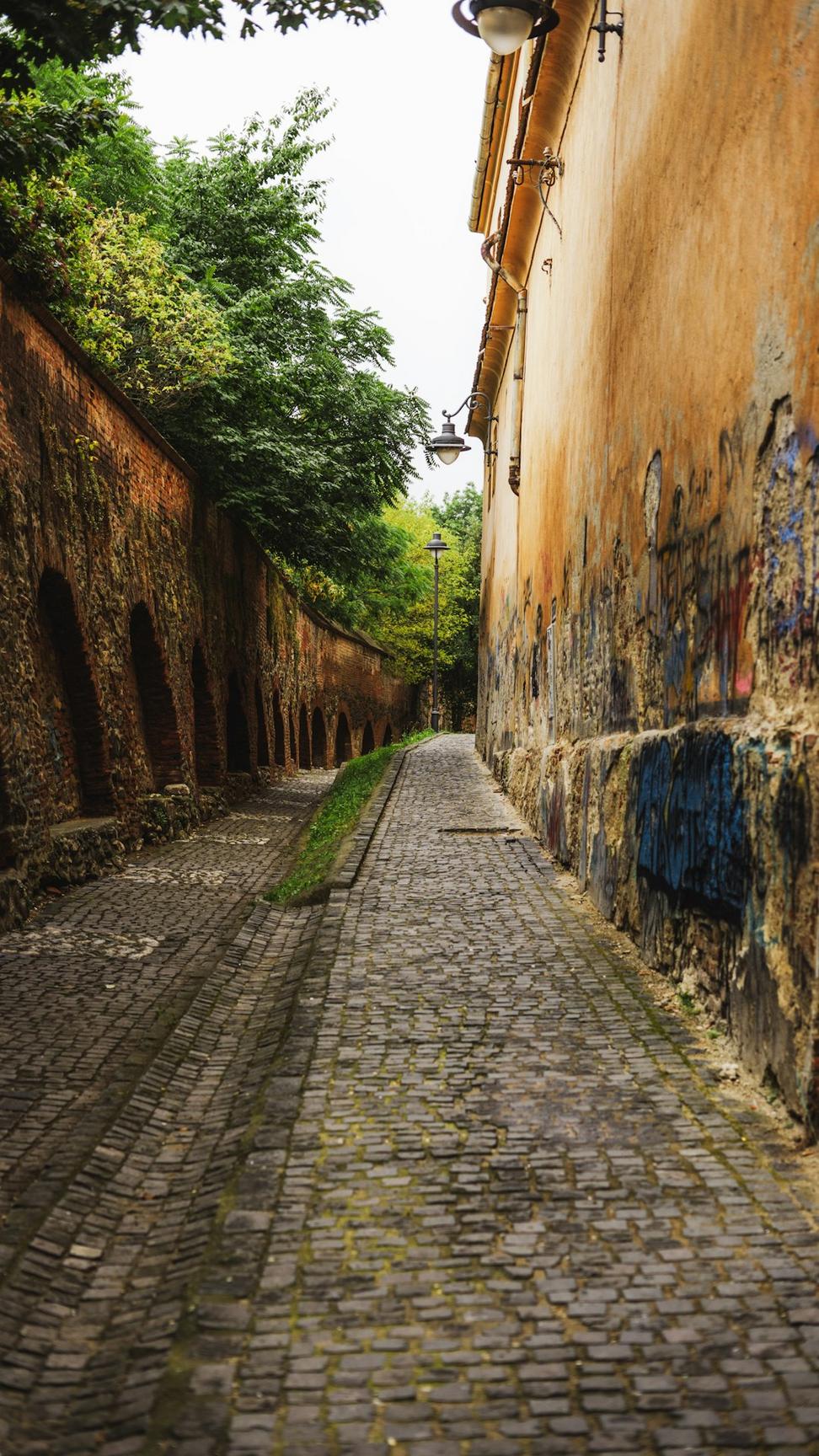 Laneway Residences